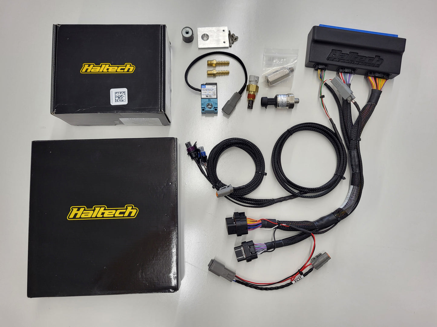 Elite 2500 + WB1 Nissan Skyline R32/33/R34 with Syngarage Plug and Play Sub harness
